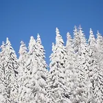 Chalet Nassfeld Nahe Skipisten *