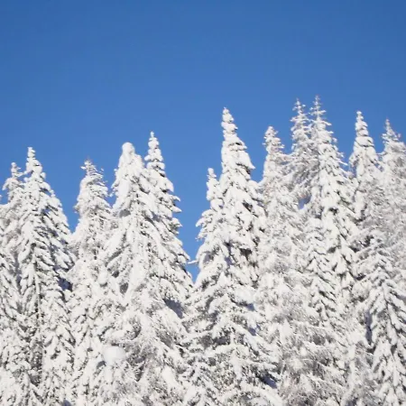 Nassfeld Near Slopes Chalet *