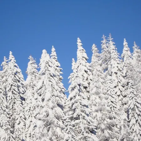 Chalet Nassfeld Nahe Skipisten *